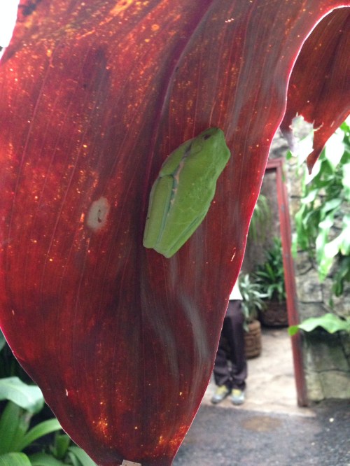 163C3E3A-E803-429B-873E-34D8FD637AA7