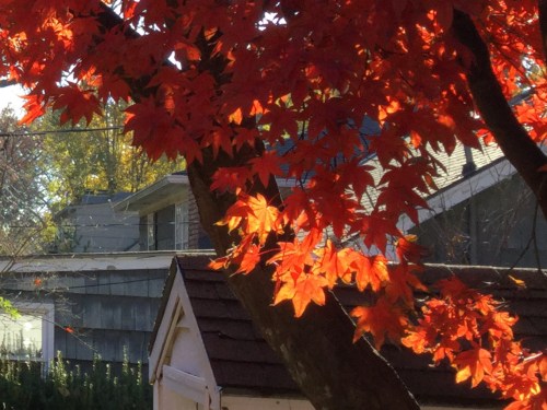 A72482BD-3BB9-4782-8ADA-7FF090B947B1