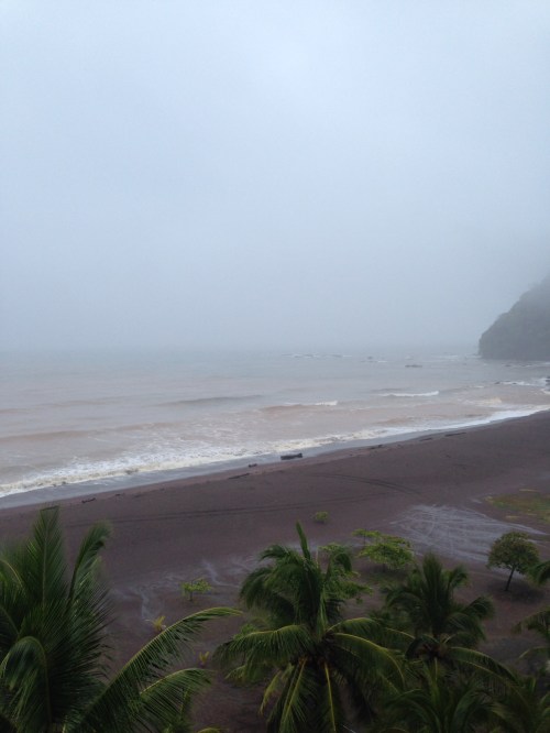 520B79FC-4BAF-496A-81F7-ED40E36163AD