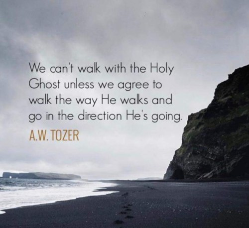 63195F16-3E71-4976-8355-3A7A036DD294