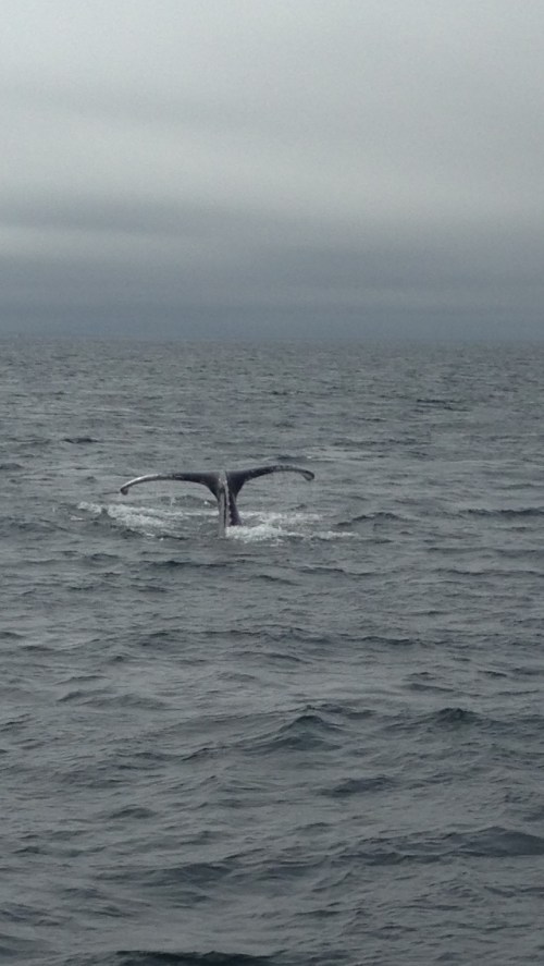 5CCA367C-5636-4F44-8BDF-AD38DA0543CD