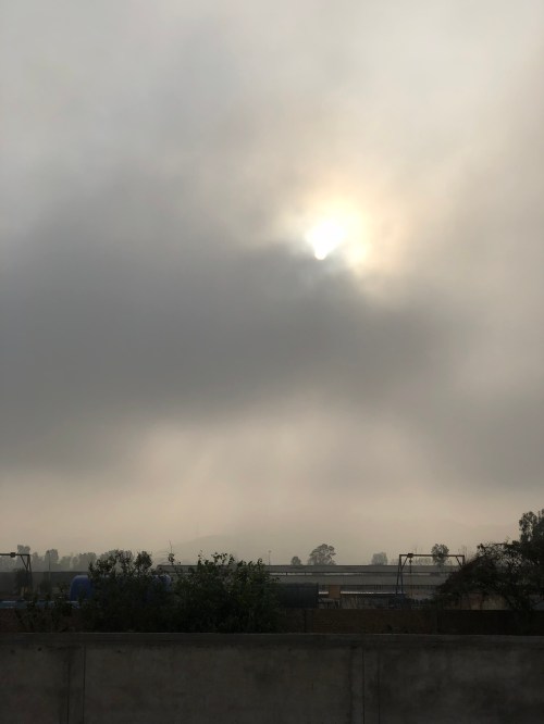 32A8E13C-49CA-41CC-8682-0E7A080DE860