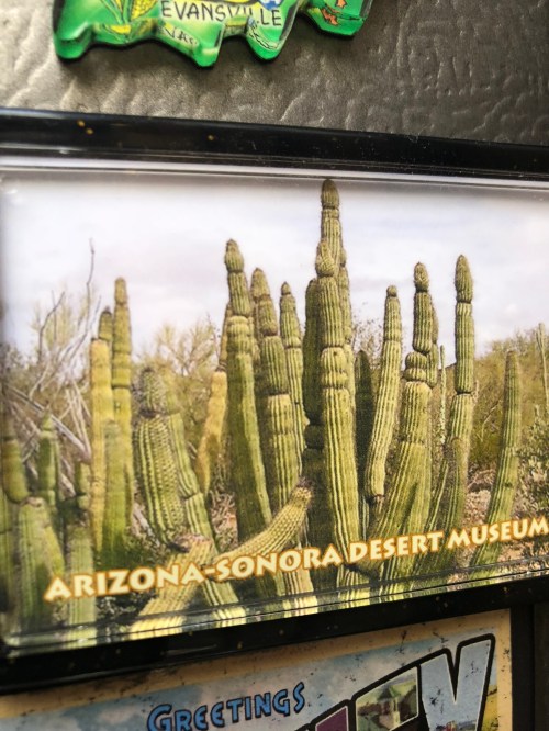 6BDEAC27-9E63-443E-8581-3EB4F8E0F019