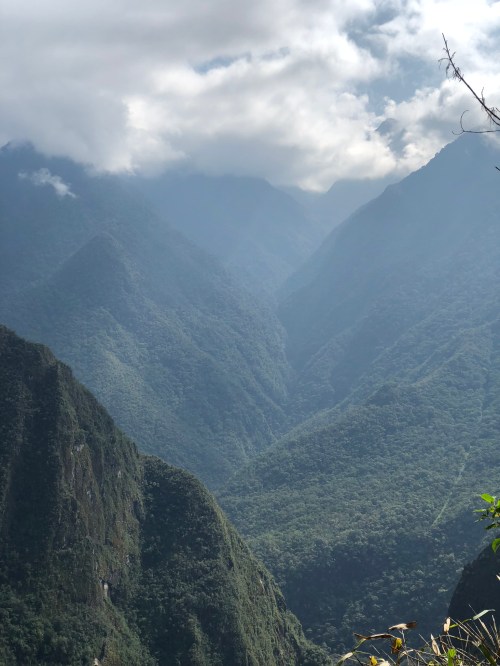 BE23CA93-0C98-4409-97AC-6B4CB933DBBF