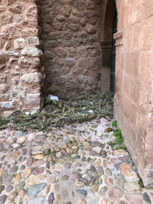 0462F52E-8807-4D49-96F3-A079876C3B24