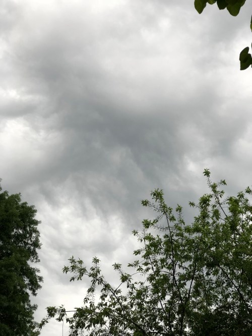 23F5648B-9F9C-45DF-9872-01F3AA9D2A1E