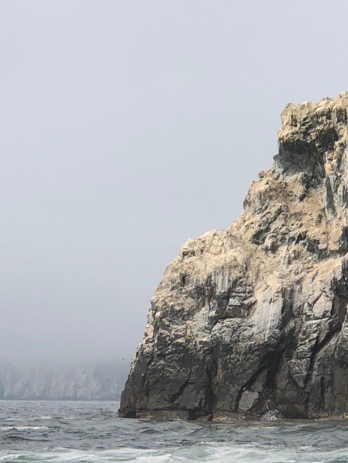 ED1D22EF-01D6-41F7-96F6-12795228632B