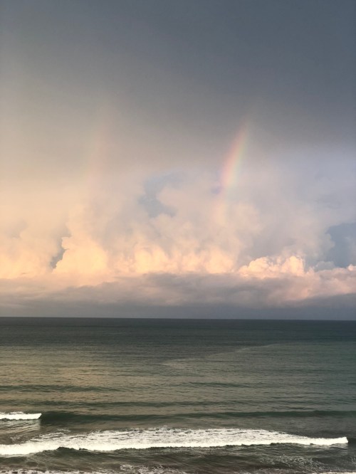 57487B32-DBE8-4C7D-B548-337EBC40969D