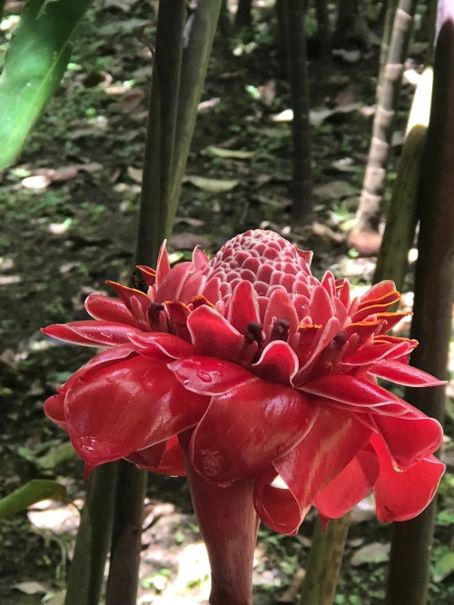 1CBF8196-54E9-4F81-BC29-085961B6A3A7